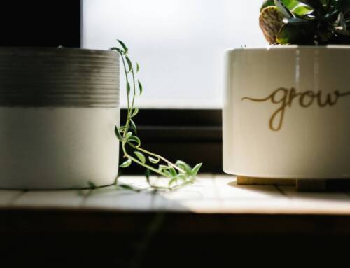 Women’s Month LIFE COACHING SPECIAL